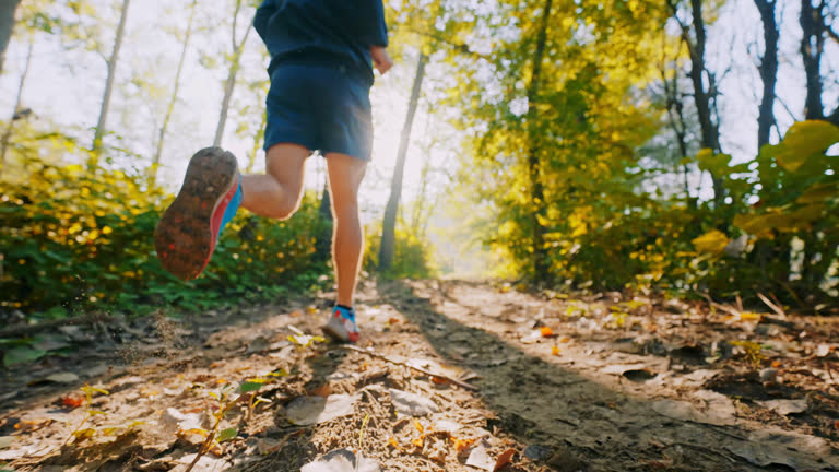 Zone 2: A arte de correr devagar (e porque o teu ego é o teu maior inimigo no asfalto)